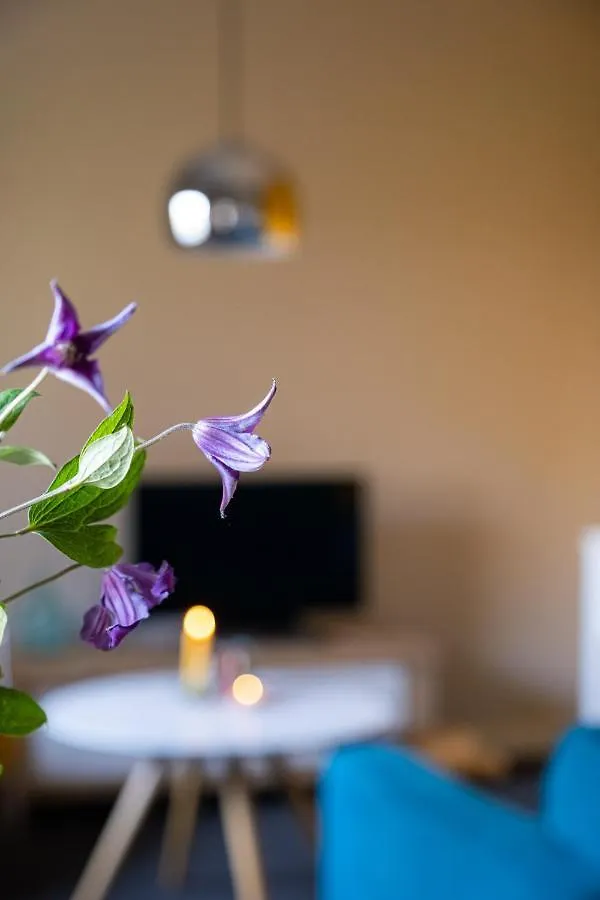 Hoeve De Binnenplaets Schimmert Apartment