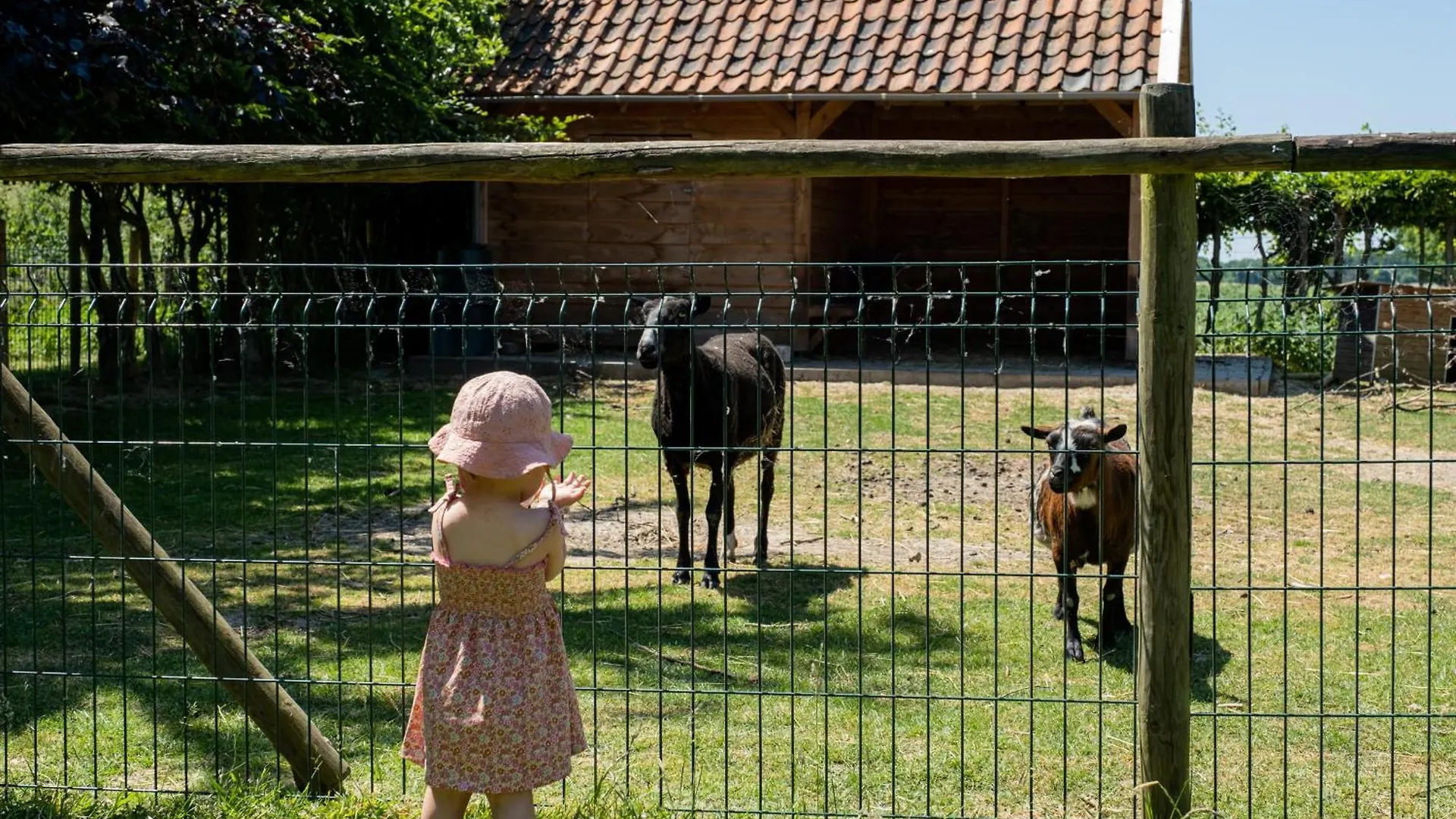 Hoeve De Binnenplaets Schimmert Netherlands